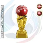Premium Trophy (ট্রফি)