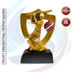 Premium Trophy (ট্রফি)