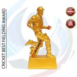 Premium Trophy (ট্রফি)