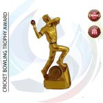 Premium Trophy (ট্রফি)