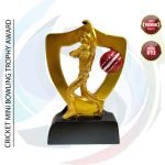 Premium Trophy (ট্রফি)